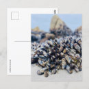 Zoek naar mossel posters briefkaarten Oceaan