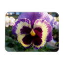 Recherche de de ressort magnets Jaune