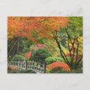 Recherche de arbre japonais cartes postales Feuillage