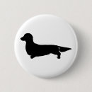 Recherche de teckel badges Doxie