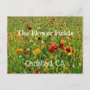 Recherche de carlsbad cartes postales Fleurs