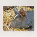 Zoek naar varkens puzzels Schattig