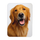 Recherche de sourire magnets Portrait