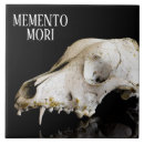 Recherche de squelette carreaux Anatomie