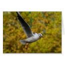 Zoek naar vlieger vliegen posters Herfst
