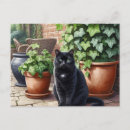 Recherche de amoureux de les chats cartes postales Animal