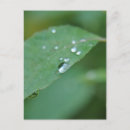 Zoek naar eco briefkaarten Fotografie