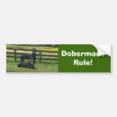 Recherche de dobx maison deco Chiens