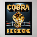 Zoek naar kickboxing posters Motivatie