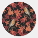 Recherche de rouge gorge autocollants Oiseau