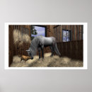 Recherche de tranquille posters Chat