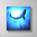 Recherche de attaque requin art Animal