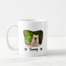 Recherche de musique animale tasses Pour animaux
