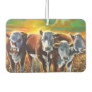 Recherche de vaches voiture accessoires Ouest