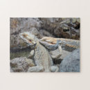Recherche de dragons puzzles Animaux