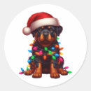 Recherche de chien heureux autocollants Joyeux noël