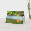 Recherche de branche toutes vœux cartes Toutes les occasions