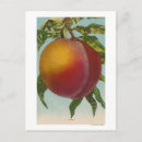 Recherche de chromo cartes postales Lithographe