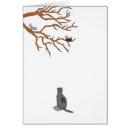 Recherche de observation des oiseaux Chat