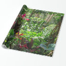 Recherche de forêt tropicale papier cadeau Jungle