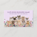 Recherche de papier chat cartes visite Soins aux animaux