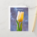 Recherche de tulipes blanches cartes postales Bleu