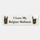 Recherche de belge voiture autocollants Animal