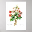 Zoek naar primula posters Vintage