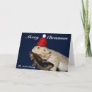 Zoek naar lizard kaarten Dier