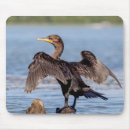 Zoek naar gespleten muismatten Vogel