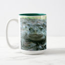 Recherche de crapaud tasses Reptile
