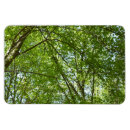 Recherche de printemps magnets Vert de printemps