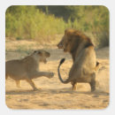 Zoek naar agressie stickers Beweging