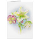 Recherche de hellebores vœux cartes Aquarelle