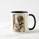 Recherche de rameses tasses 13ème