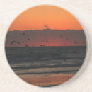 Recherche de oiseaux marins dessous de verres Mouettes