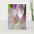Recherche de glaïeul vœux cartes Fleur