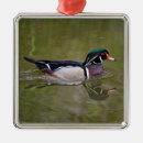 Recherche de ducks ornements Bird