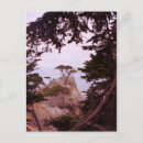 Recherche de monterey cartes postales Cyprès