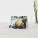 Recherche de excuses humoristiques vœux cartes D'excuses