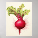 Recherche de betteraves posters Bio