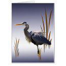 Recherche de herod cartes postales Grand