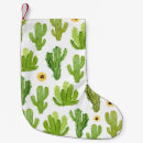 Recherche de cactus de noël Arizona
