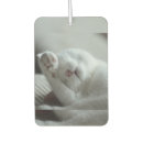 Recherche de feline voiture accessoires Nature