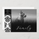 Recherche de abri animal invitations Chat