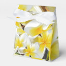 Recherche de frangipani ballotins Fleurs