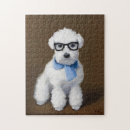 Recherche de bichon frise puzzles Chiot