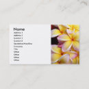 Recherche de frangipani cartes visite Plumeria