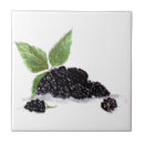 Recherche de mûre blackberry Baies