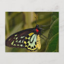 Recherche de cairns cartes postales Nature